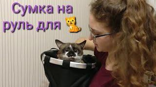 Сумка на руль для кота.