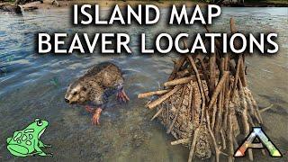 Beaver Dam locations on the Island Map: Ark Survival Evolved Castoroides UPDATE