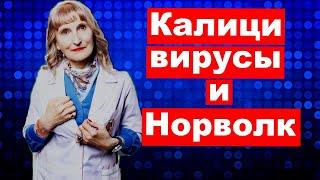 Калици вирусы и вирус Норволк