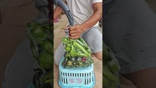 Vacuum packing with vacuum cleaner - Good tools make food preservation easier