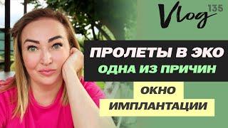 ЭКО. Как не пролететь с окном имплантации? // Заведомо пролетные протоколы ЭКО