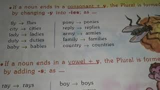 Class 5 | English grammar | sentence and noun