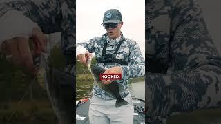 Crankbaits Catch Bass!