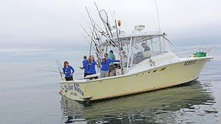 UNE on Shark Week: Professor James Sulikowski, Ph.D