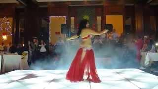 Very good Egyptian Bellydance performance