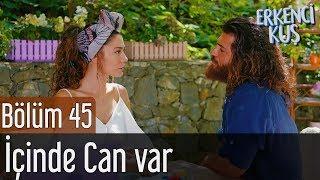 Erkenci Kuş 45. Bölüm - İçinde Can Var