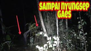 Live Triono comal disarang pocong paling ambyar saltoin kuntil