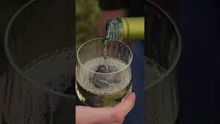 2023 Kick Ranch Sauvignon Blanc