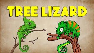 What Is The Ornate Tree Lizard | Kids Learn | #education