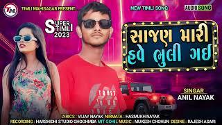 Anil Nayak ||Sajan Mari Have Bhuli Gayi ||New Timli Song 2023