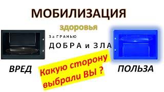 Полезная СВЧ и вредная. Какую выбрать? Может ли СВЧ сохранить пользу и текстуру продукта ?