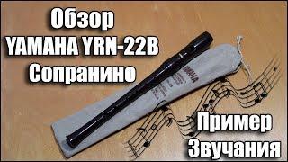 Обзор Yamaha YRN-22B in F Sopranino Recorder Сопранино Блокфлейта Ямаха строй Фа Пример звучания