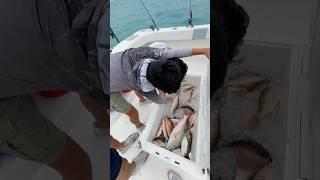 I Went Fishing In Key West  #fypシ゚ #vlog #fishing #keywest #florida #travel #viral