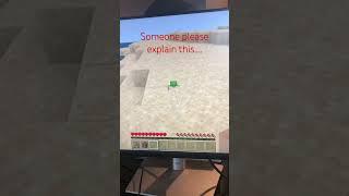 HUH #tiny turtle#glitch#minecraft