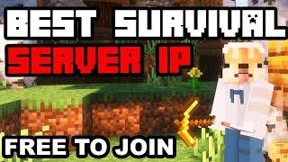 Best Minecraft SURVIVAL Server to Join in 2024 (1.21)