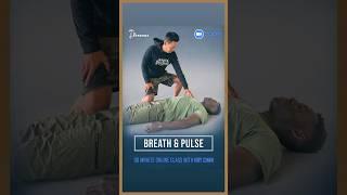 What to expect at the Breath & Pulse online class.