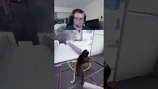 Stress... | #figgens123 on #Twitch #thefinals #thefinalsclips #thefinalshighlights #hammer