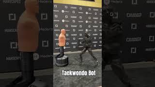 Taekwondo Bot