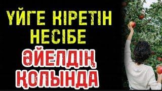 ҮЙГЕ КІРЕТІН НЕСІБЕ ӘЙЕЛДІҢ ҚОЛЫНДА.(әлеуметтік желіден алынған)