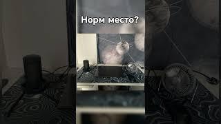 Норм Место? #компьютер #Место #микрофон