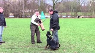 Bandit pakwerk Holten 02-02-2013