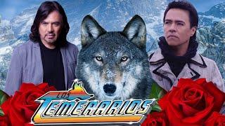 LOS TEMERARIOS 30 ÉXITOS PARA SIEMPRE - ROMÁNTICAS DEL AYER - MEJORES CANCIONES INOLVIDABLES