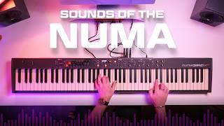 Studiologic Numa Compact X SE Piano Keyboard: The next level in sound and portability!