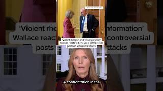 'Violent rhetoric' and 'misinformation': Wallace reacts to controversial posts on Minnesota attacks