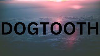 Tyler The Creator - DOGTOOTH (Lyrics) #tylerthecreator #dogtooth #dog