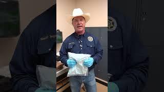 PROTESTING A DRUG BUST?