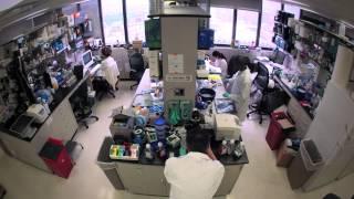 The Mount Sinai Department of Microbiology
