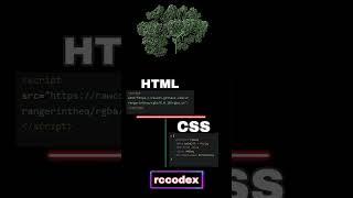 Why is Coding Important? #rccodex