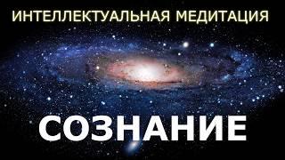 СОЗНАНИЕ. Интеллектуальная Медитация