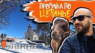 ЧЕРНОГОРЕЦ: Цетинье - старая столица Черногории  Осень vs зима ️️ Черногорский Зоопарк