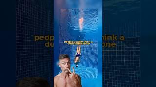 Top 10 Underwater Moments of 2023 | Gert Leroy Highlights 