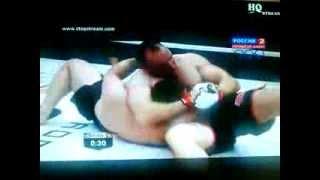 Mirko CroCop Filipovic vs Alexey Oleinik (8.11.2013)