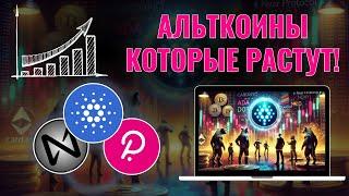 НЕ УПУСТИ ЭТИ АЛЬТКОИНЫ! ОБЗОР CARDANO (ADA), NEAR PROTOCOL (NEAR), POLKADOT (DOT)