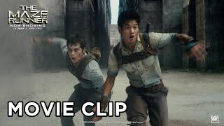 The Maze Runner [Movie Clip "RUNNERS" in HD (1080p)]