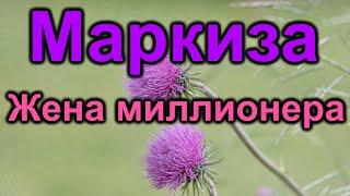 Жена миллионера. Маркиза