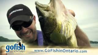 Ontario world record Walleye