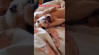 Mummy's special girl #doggybestfriend #dogforlife #motivation #dogyoutuber #denzelwashingtonquotes