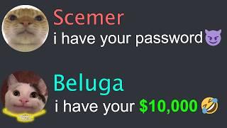 When Beluga Scam Scemer REALLY HARD....