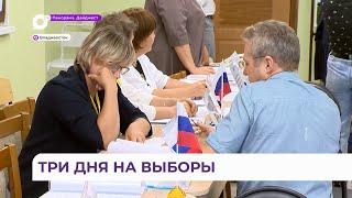 Три дня голосования – это удобно,  потому что «у всех есть работа, дети, обязательства»