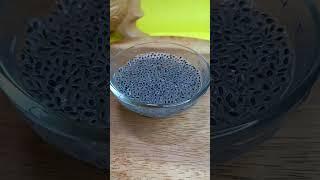 Soaking Basil Seed #shorts #viral #youtubeshorts #ytshorts #trending