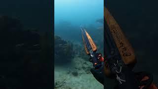 HAVOC MAX Prototype #roballenspearfishing #spearo #baha #triplemuzzle #timberline #fyp