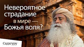 Страдание в мире — Божья воля?