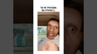 Настоящий тигр #юмор #приколы #трогает #укусил #злой