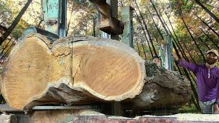 We Are Getting Blown Away Out Here - Processing of teak wood sofa material