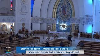 Live: ERCIS Media / Oficiul pentru Comunicații Sociale / Episcopia Romano-Catolică de Iași