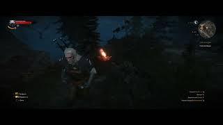  The Witcher 3 [ 11 ЛВЛ ] trophy трофей Pest Control / Крысолов #26